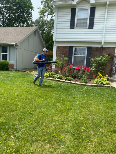 Yard Cleanup
