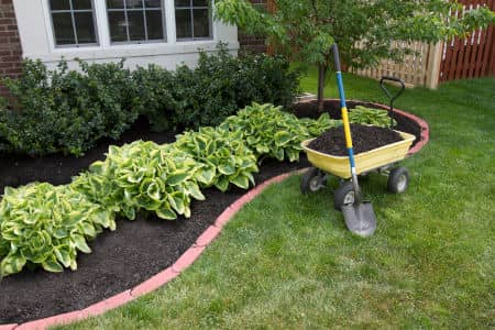 Mulch Types Explained: Choosing the Best Option for Your Lawn and Garden