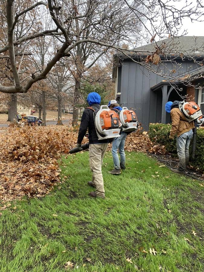 Yard Cleanups