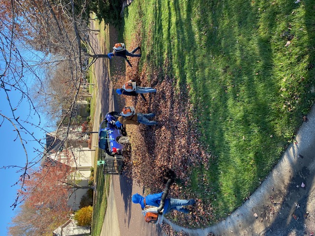 Leaf clean-up in Overland Park, KS - 1