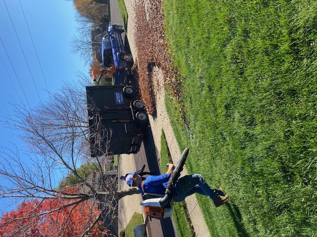 Leaf clean-up in Overland Park, KS - 2