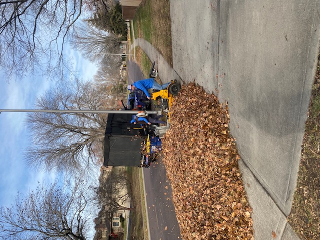 Leaf clean-up in Overland Park, KS - 4