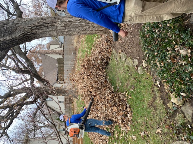 Leaf clean-up in Overland Park, KS - 5