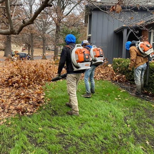 Leaf Removal Image