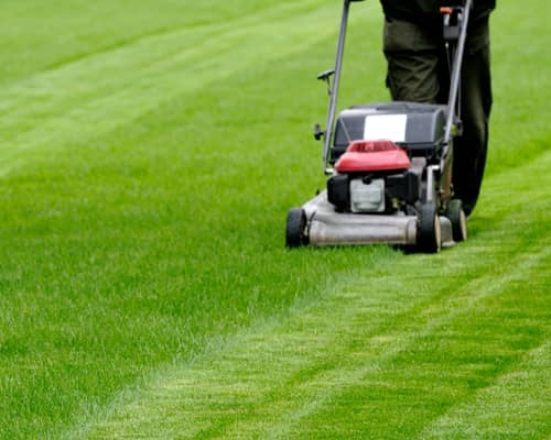 Mower Tune-Up Image