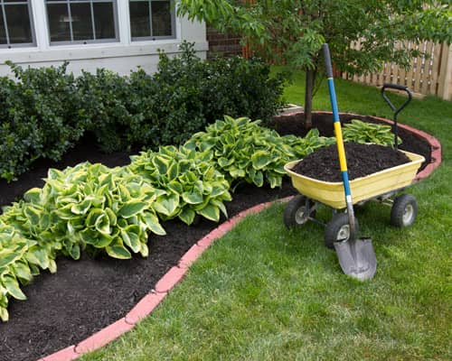 Mulching Image