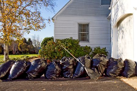 Yard Cleanup Thumbnail